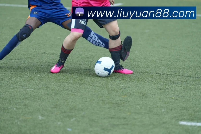 9游会官网发展历程